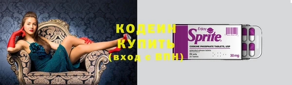 прущие грибы Осинники