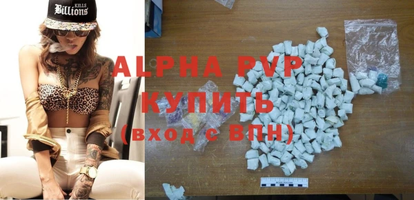 прущие грибы Осинники