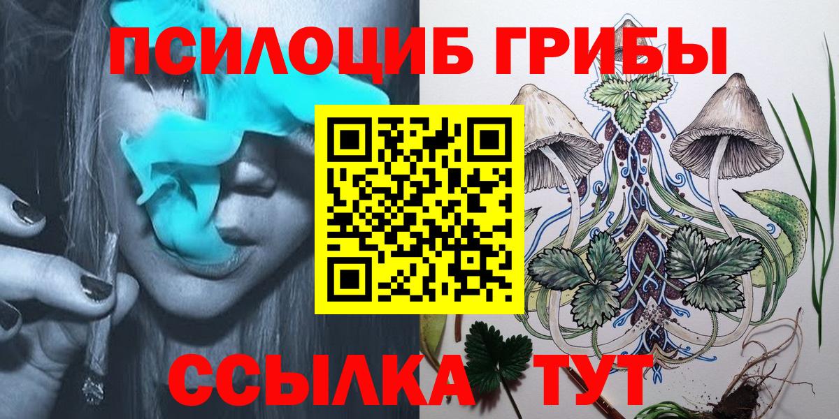 Галлюциногенные грибы Psilocybine cubensis Луга