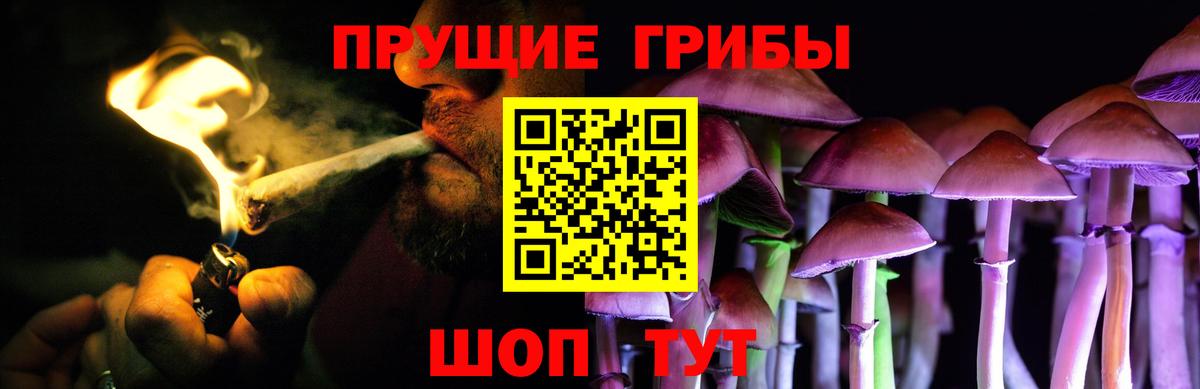 Галлюциногенные грибы мицелий  Вход с VPN  Псилоцибиновые грибы Magic Shrooms  Луга 