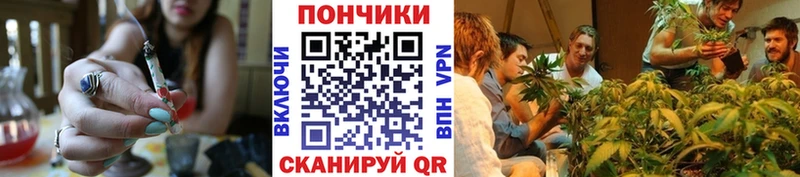 Конопля сатива Луга